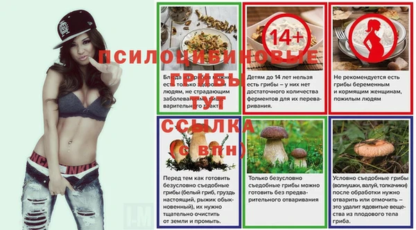 гашик Абдулино