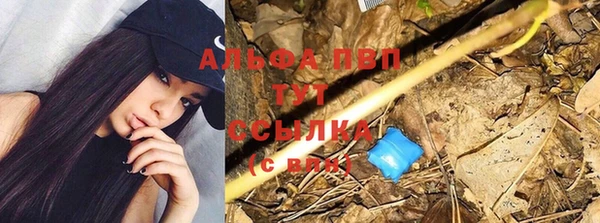 дмт Абинск