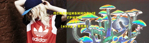 ешки Алексеевка